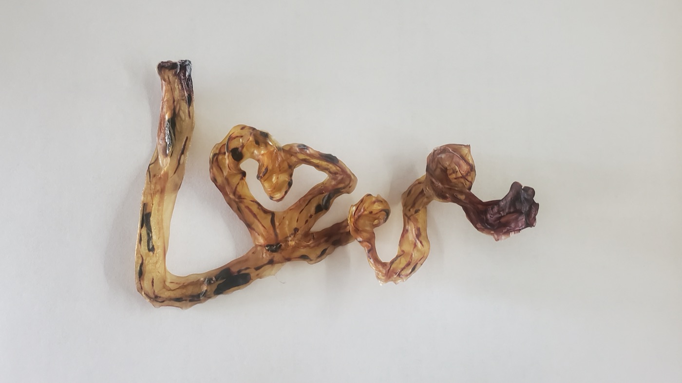 An umbilical cord dried and shaped into the word love