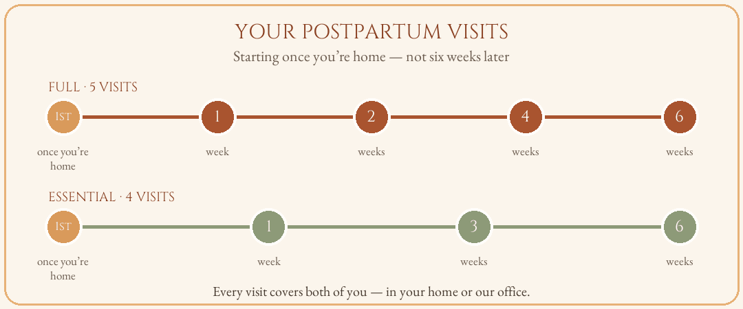 Postpartum visit timeline — Full package visits at 1, 2, 4, and 6 weeks; Essential at 1, 3, and 6 weeks, plus a first visit in the days right after birth